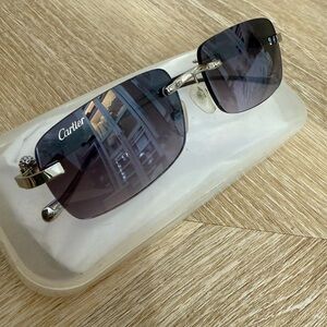 Cartier Silver and Black Sunglasses cougars